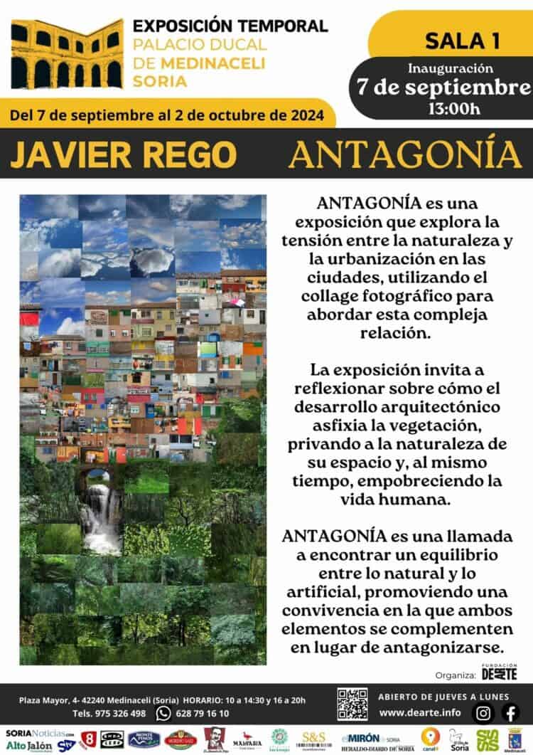 Exposición “Antagonía” de Javier Rego. Del 7 sept. al 2 oct. Palacio Ducal de Medinaceli.